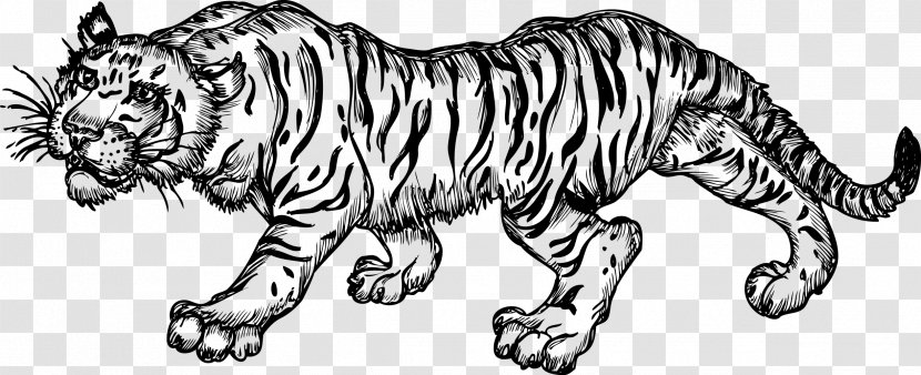 Tiger Black And White Drawing - Wildlife - Elemental Vector Transparent PNG