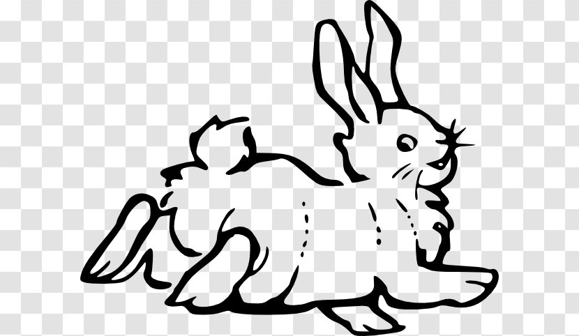 European Hare Rabbit Clip Art - Cartoon - Line Transparent PNG