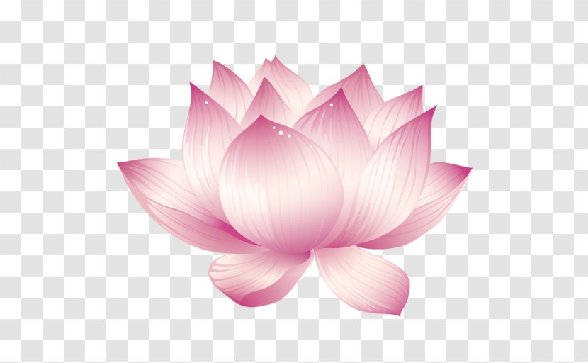 Introduction To The Guan Yin Citta Dharma Door (Simplified Chinese) Guanyin Buddhism Nelumbo Nucifera - Lotus Transparent PNG