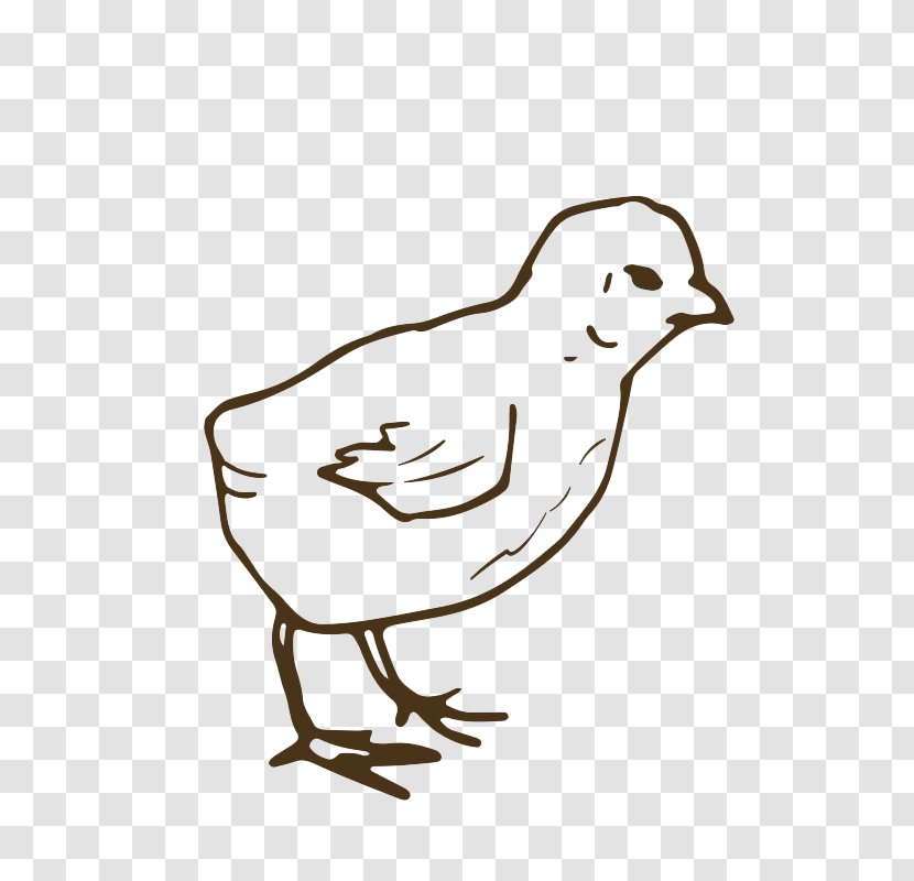 Chicken Duck Clip Art Image - Black And White - For Old Chicks Transparent PNG
