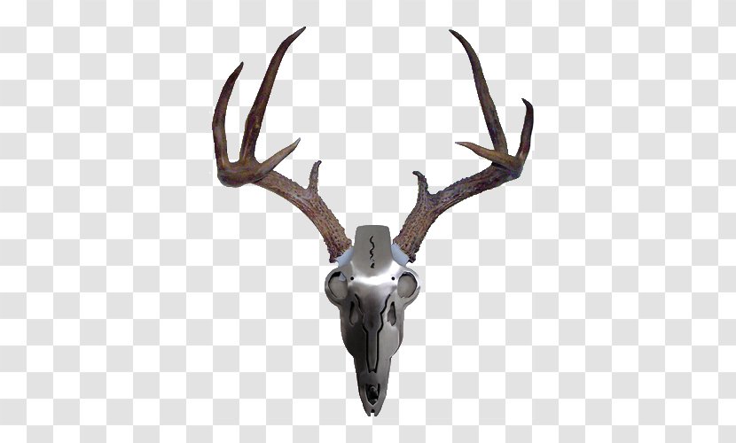 White-tailed Deer Antler Iron Mule Transparent PNG