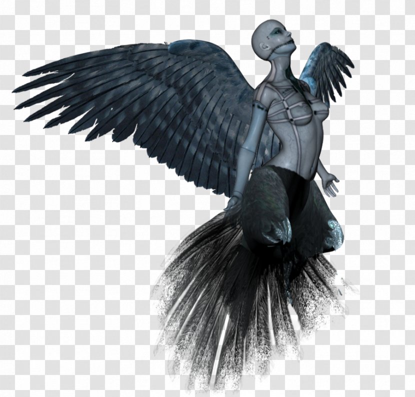 Clip Art - Vulture - Document Transparent PNG