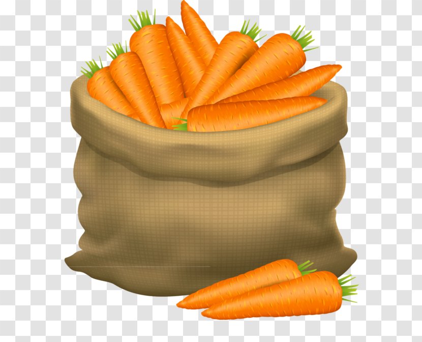 Carrot Food Vegetable Root Baby - Vegan Nutrition Wild Transparent PNG