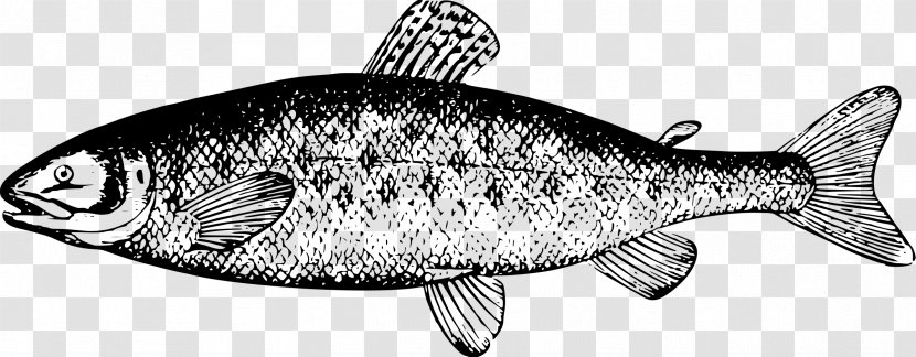 Salmon Black And White River Leven, Dunbartonshire Clip Art - Ikan Transparent PNG