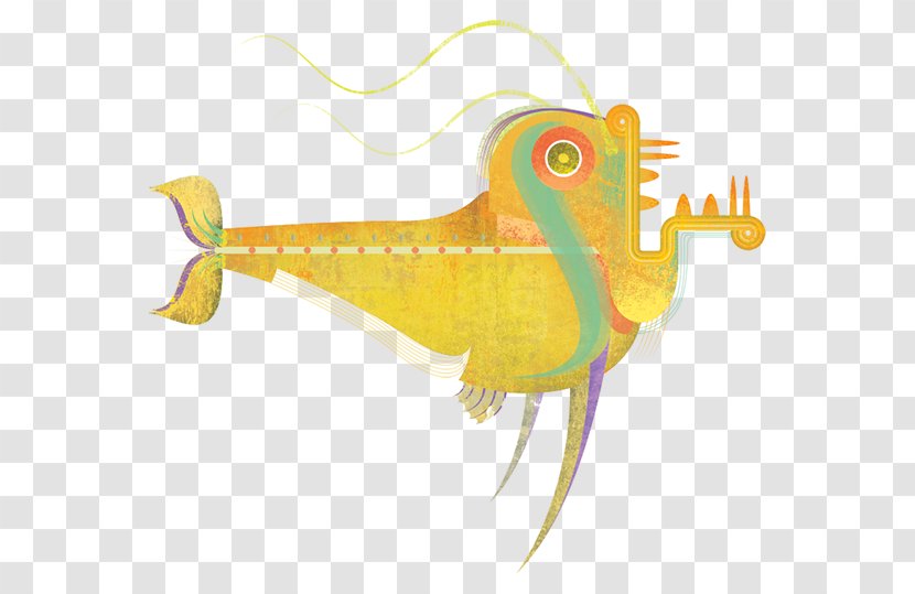 Illustration Graphics Fish - Organism - Tanque De Peixe Pacu Transparent PNG