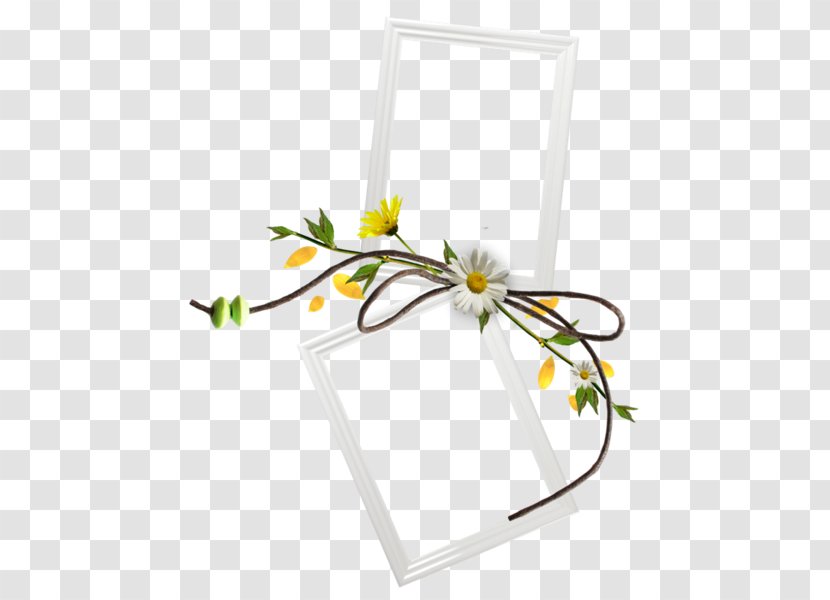 Flower German Chamomile Tripleurospermum Common Daisy - Blossom Transparent PNG