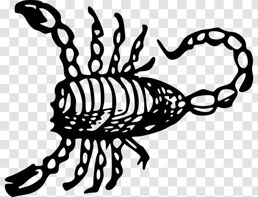 Scorpion Zodiac Clip Art - Black And White Transparent PNG