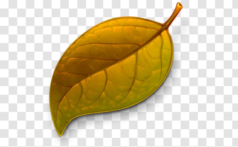 Text Editor Icon - Fruit - Autumn Leaves Transparent PNG