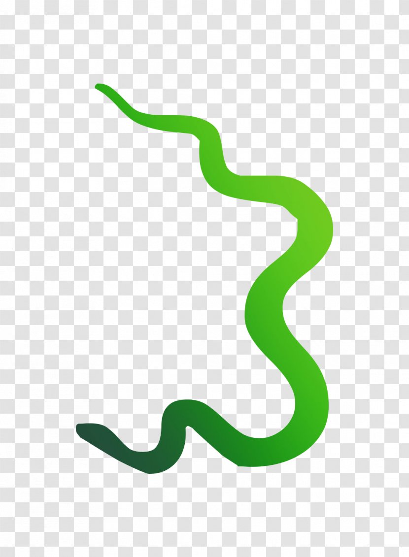 Clip Art Logo Product Design Line - Scaled Reptile - Smooth Greensnake Transparent PNG