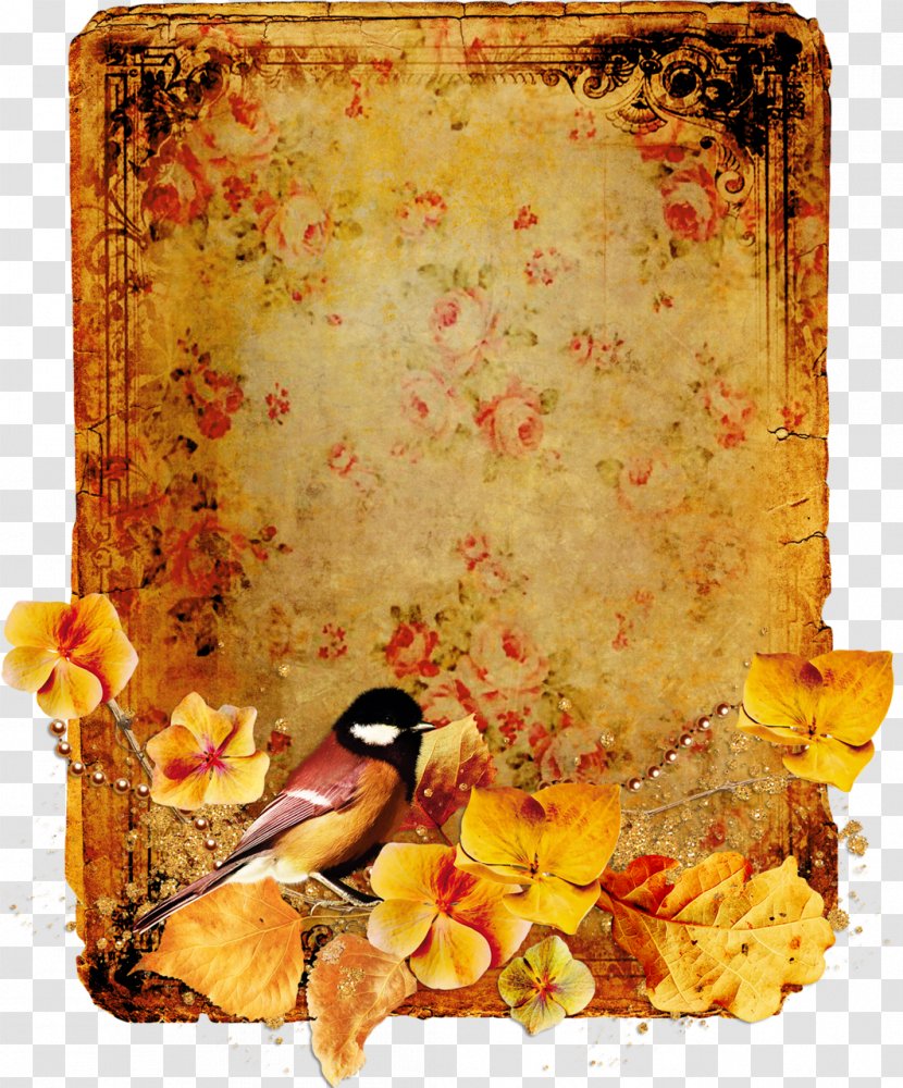 Picture Frames Document Flower Clip Art - Frame - Cluster Clipart Transparent PNG