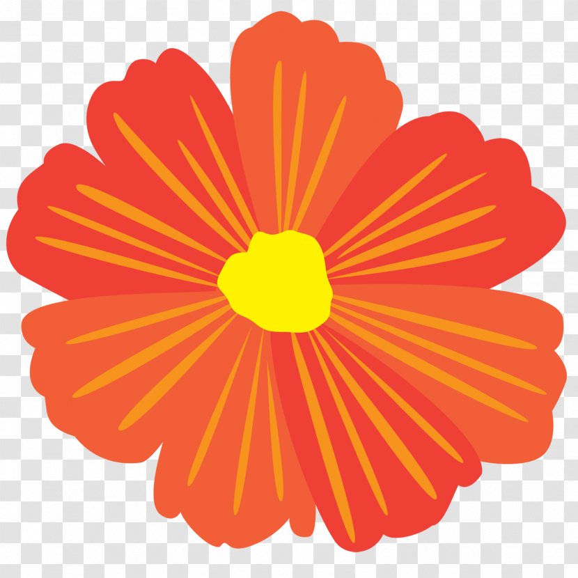 Transvaal Daisy Chrysanthemum Cut Flowers Line Sunflower M Transparent PNG