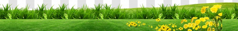 Lawn Grass Download - Google Images - Meadow Background Transparent PNG