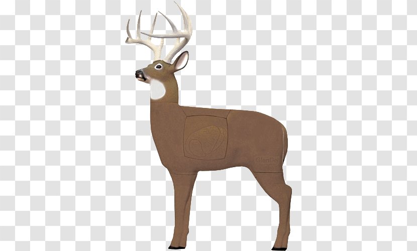 Glendel Full-Rut Buck 3D Archery Target With Replaceable Insert Core Deer 71000 Block GlenDel Pre Rut - Field At Night Transparent PNG