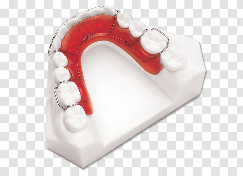 Retainer Jaw Orthodontics Mandible Tooth - Adviser Transparent PNG