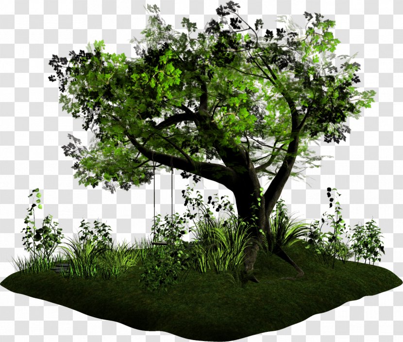 Tree Blog Bonsai Houseplant Mother - Animal Transparent PNG