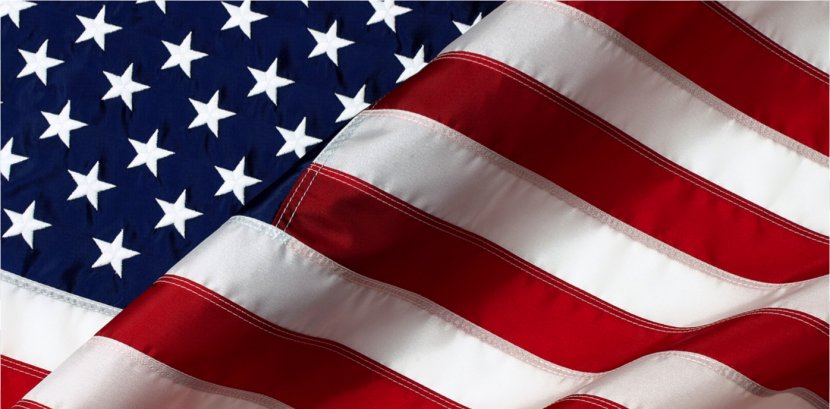 Flag Of The United States Bald Eagle Desktop Wallpaper - Royaltyfree - America Transparent PNG