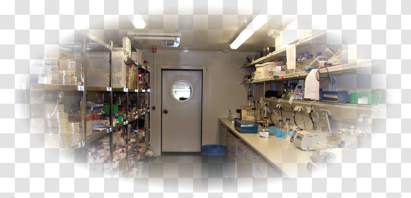 Machine Engineering Service - Medical Laboratory Transparent PNG