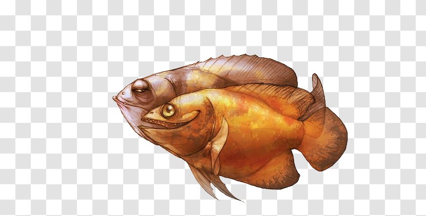 Cartoon Drawing Illustration - Model Sheet - Classic Fish Transparent PNG