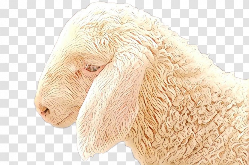 Sheep Dog Breed Goat - Crossbreed Transparent PNG