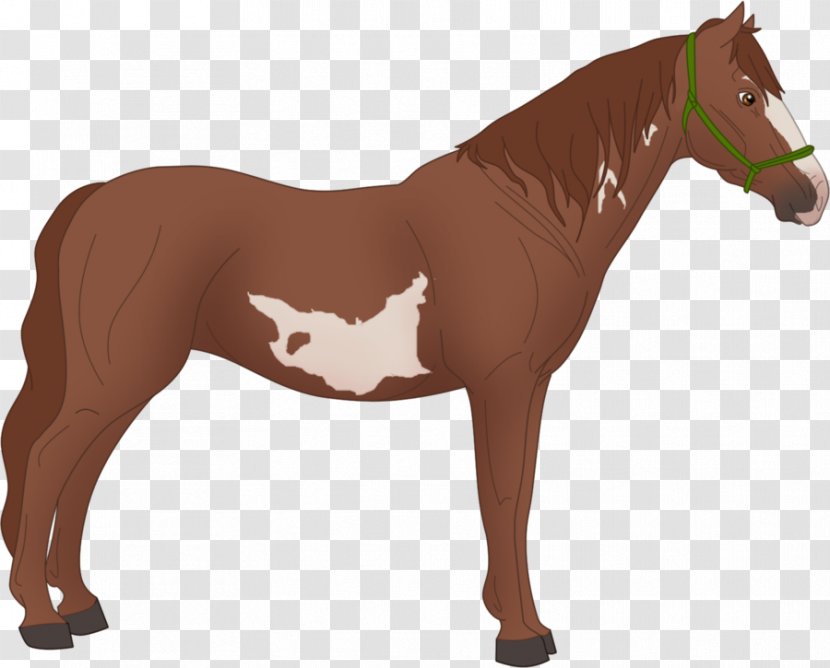 Mane Pony Mare Mustang Stallion - Animal Figure Transparent PNG
