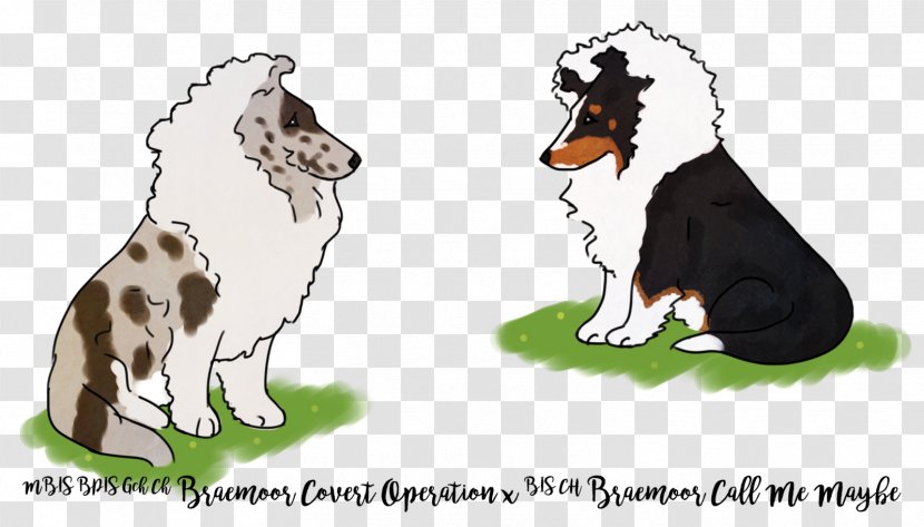 Dog Breed Puppy Paw - Shetland Sheepdog Transparent PNG