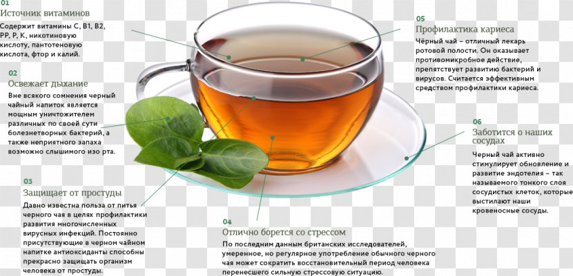 Green Tea Teacup Assam Black - Superfood Transparent PNG