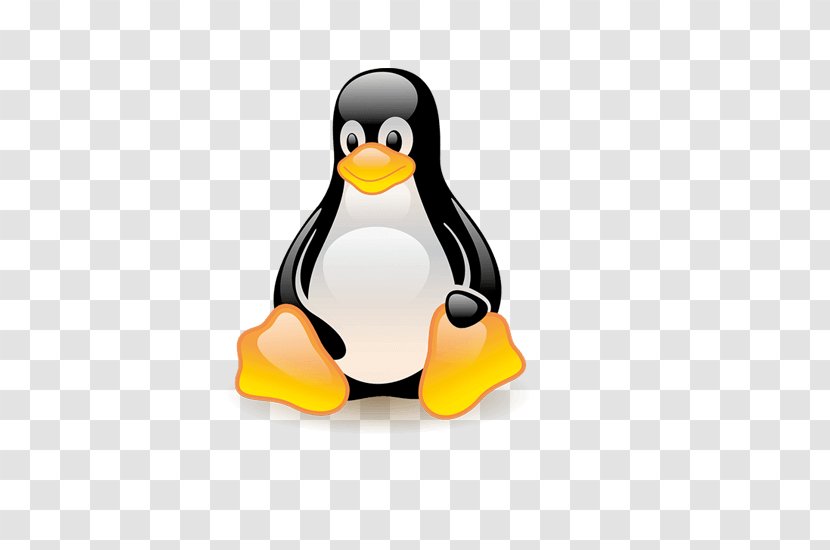 Penguin Tux Design Logo Linux - Flightless Bird Transparent PNG