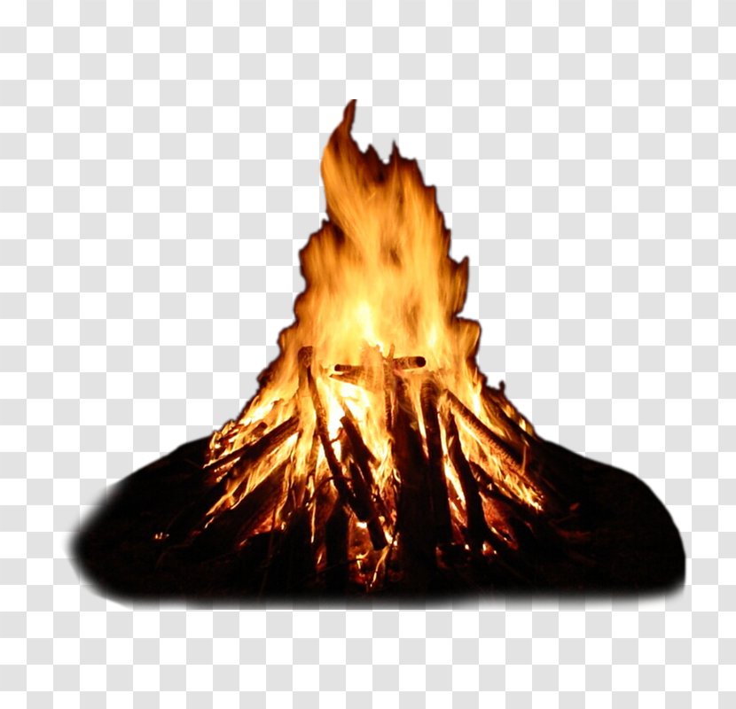 Light Fire Making Combustion Flame - Flower Transparent PNG