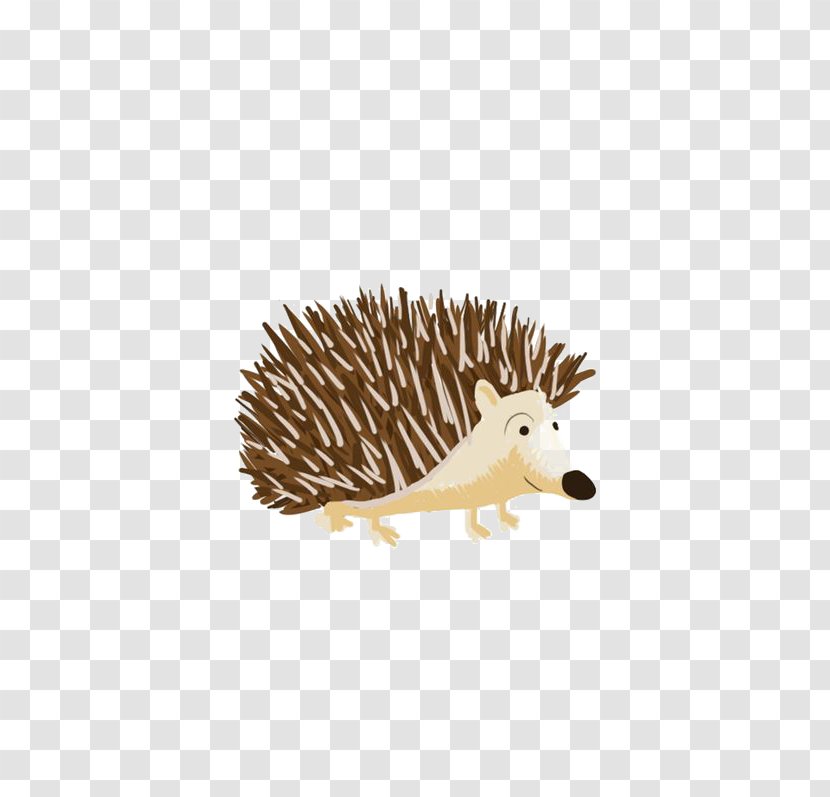 Domesticated Hedgehog Echidna Porcupine Domestication - Drawing - Cartoon Transparent PNG
