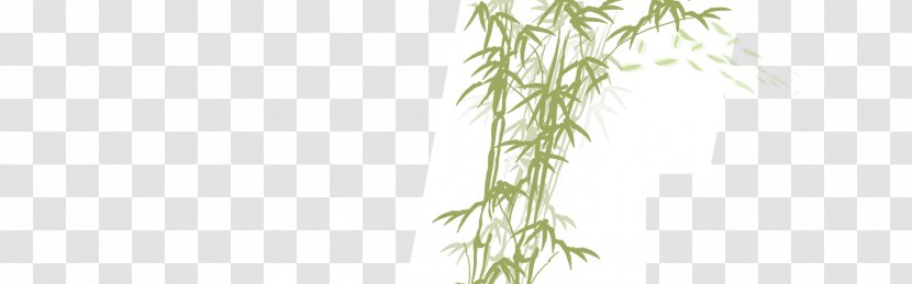 Twig Flora Plant Stem Font - Grass - Bamboo, Green, Transparent PNG
