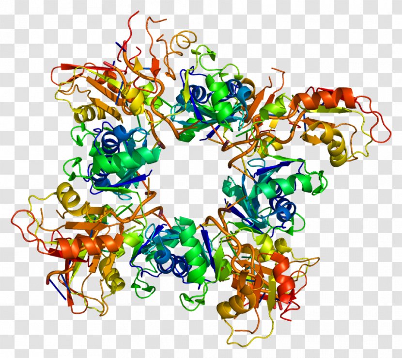 Poly(A)-binding Protein Polyadenylation RNA-binding - Flower - Tree Transparent PNG