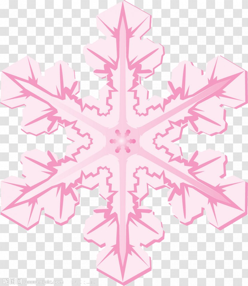 Snowflake Icon - Logo - Pink Shape Transparent PNG
