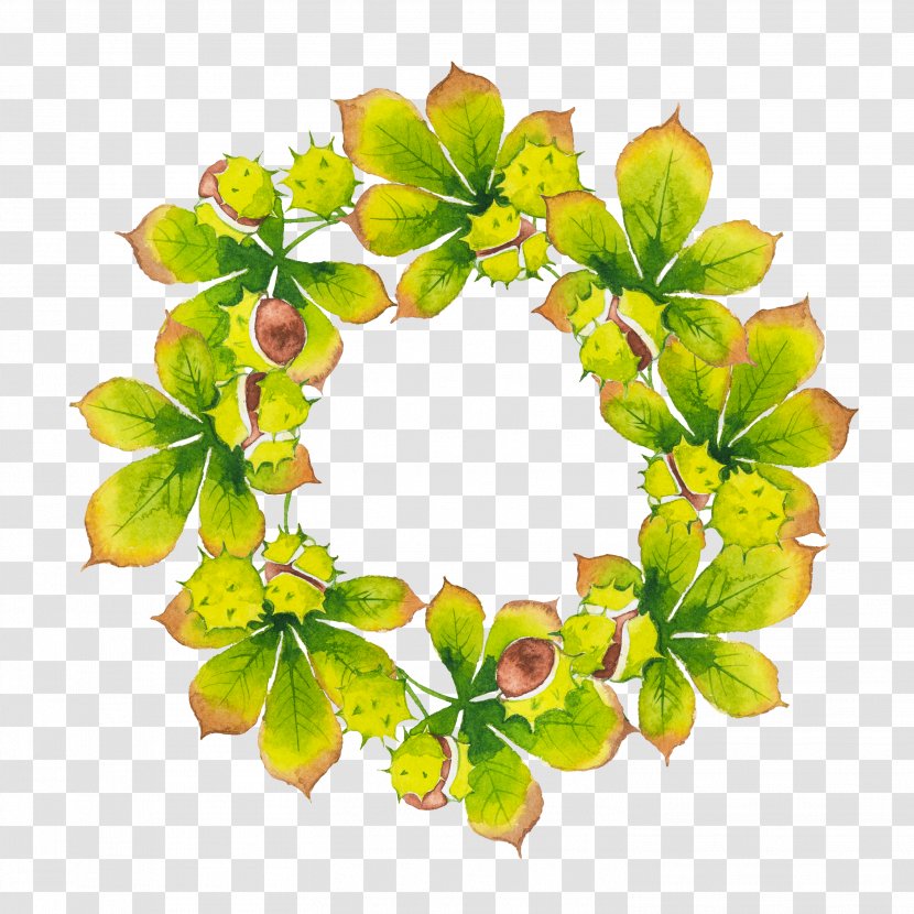 Leaf Circle - Flower - Green Transparent PNG