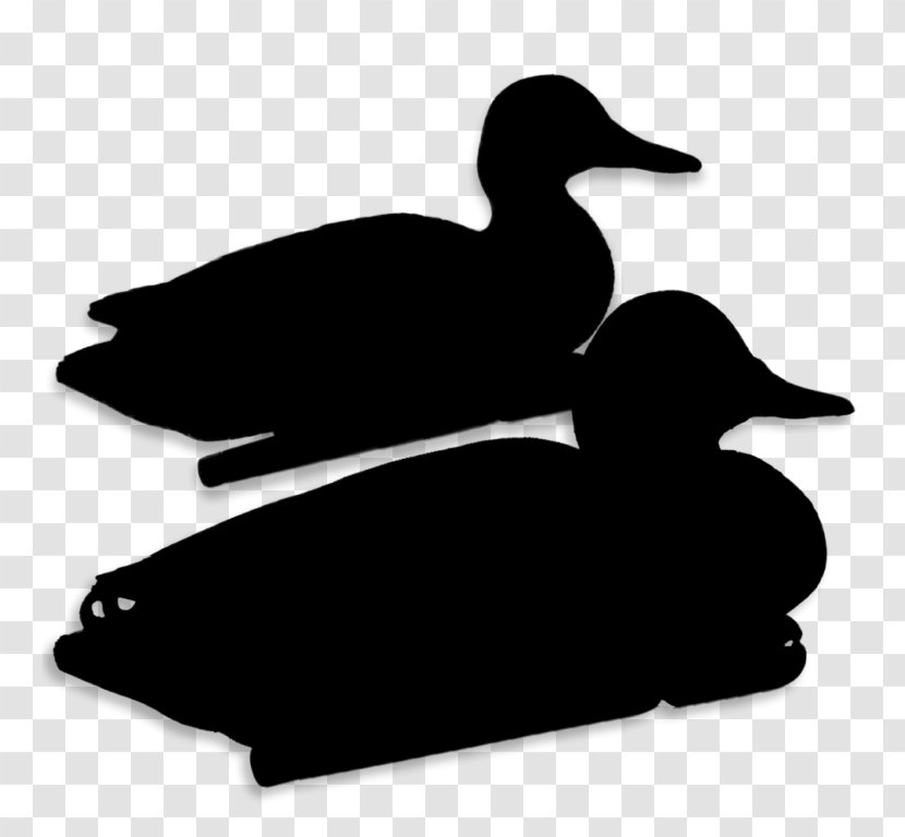 Clip Art Silhouette Beak - Loon - Waterfowl Transparent PNG