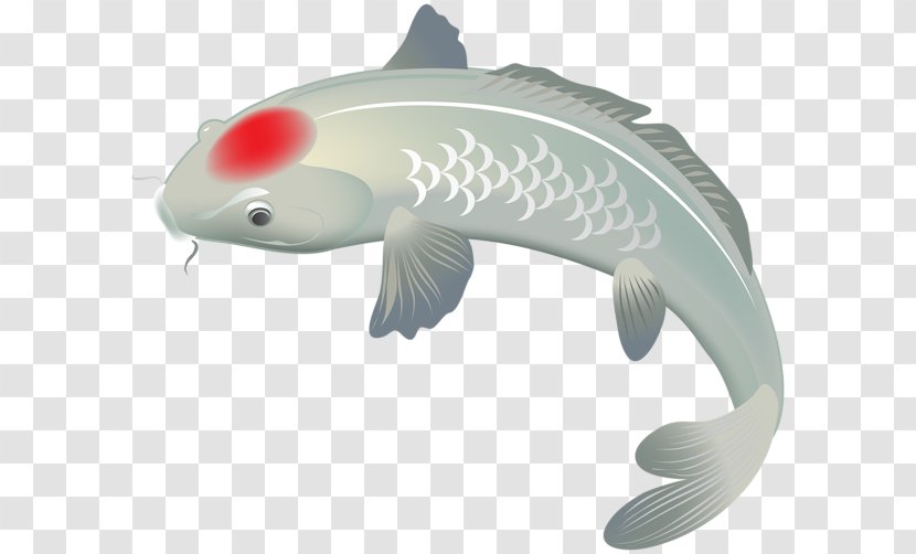 Koi Fish Clip Art Transparent PNG