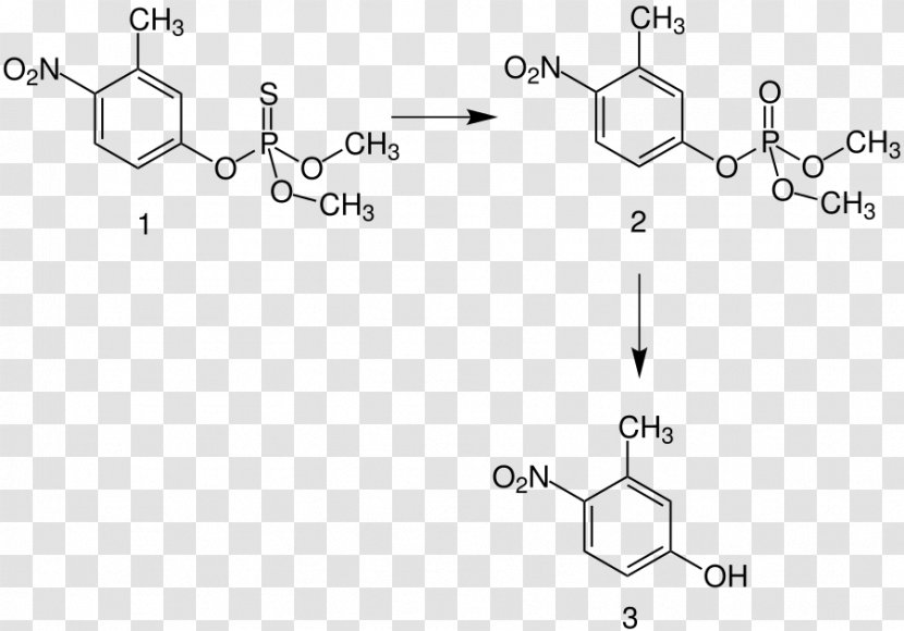 Fenitrothion Organophosphorus Compound University Of Huelva Insecticide Demethylation - Chemistry - Troth Wells Transparent PNG