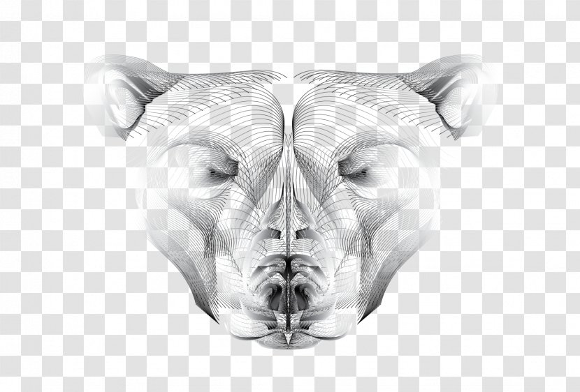 Drawing Monochrome Photography Face Snout - Mammal - Cockatoo Transparent PNG