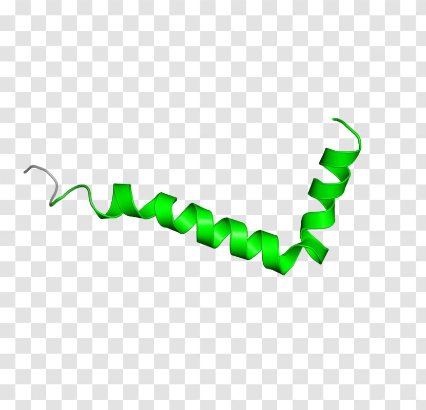 Line Angle Clip Art - Frame Transparent PNG