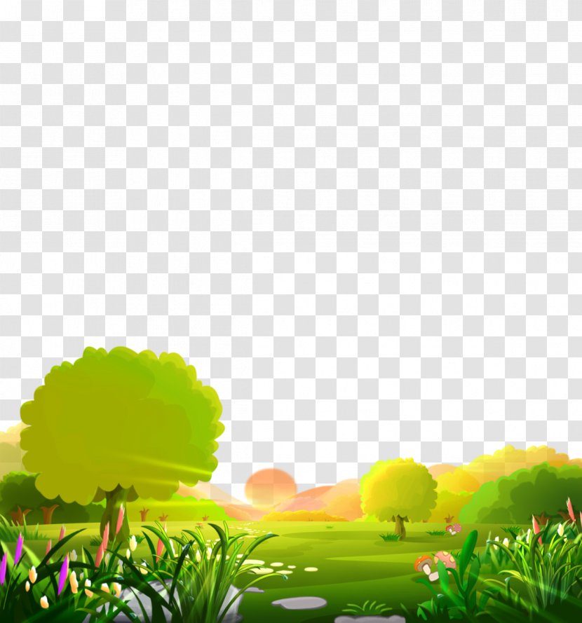 Lawn Download - Daytime - Forest Transparent PNG