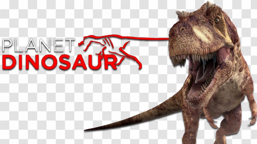 Tyrannosaurus Argentinosaurus Velociraptor Dinosaur Television - Dog Breed - Hddinosaur Transparent PNG