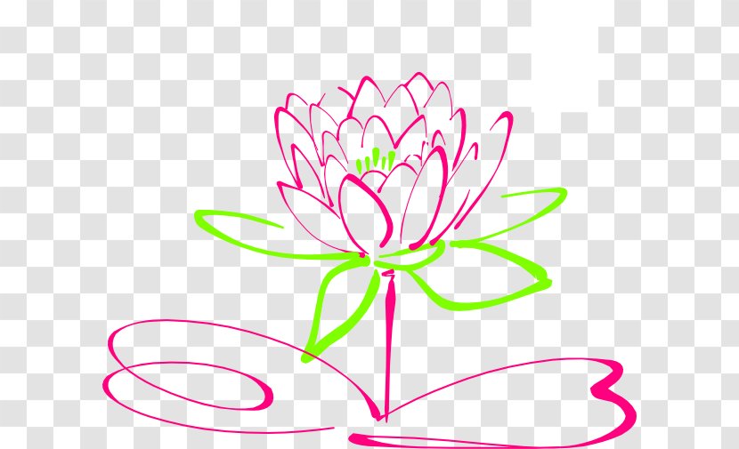 Nelumbo Nucifera Drawing Clip Art - Document - Hand-painted Bloom Lotus Transparent PNG