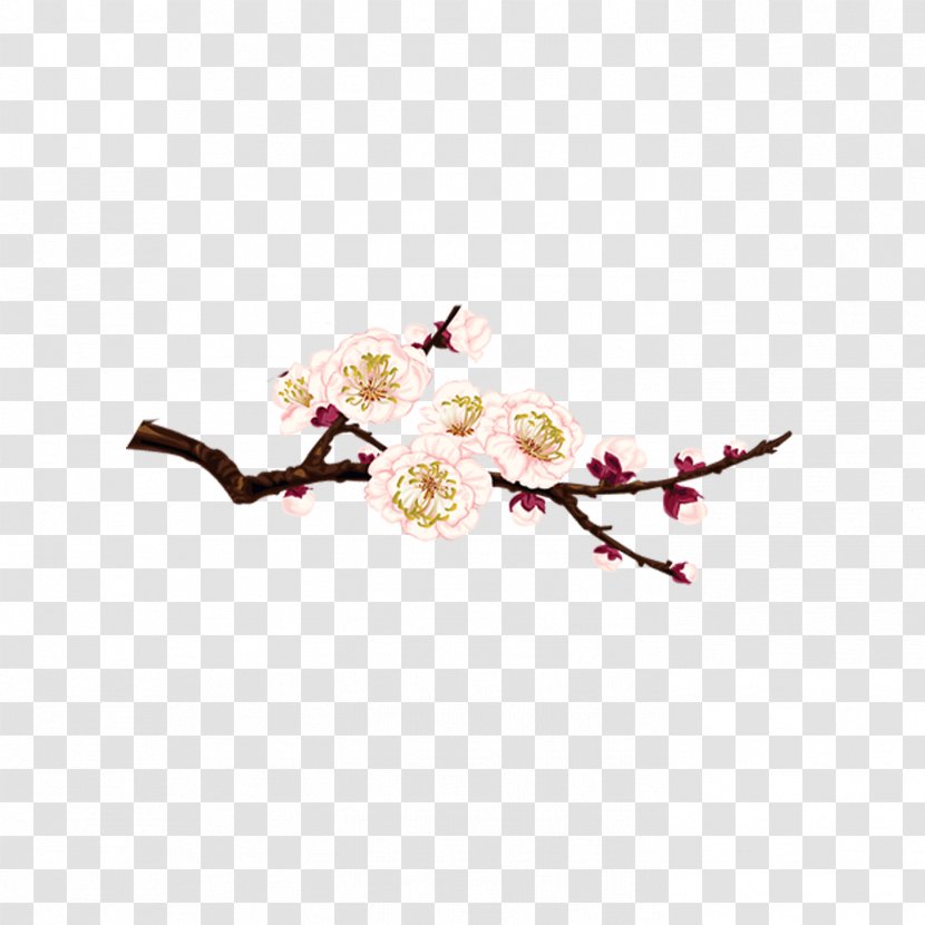 Plum Blossom Download - Plant - Flower Transparent PNG