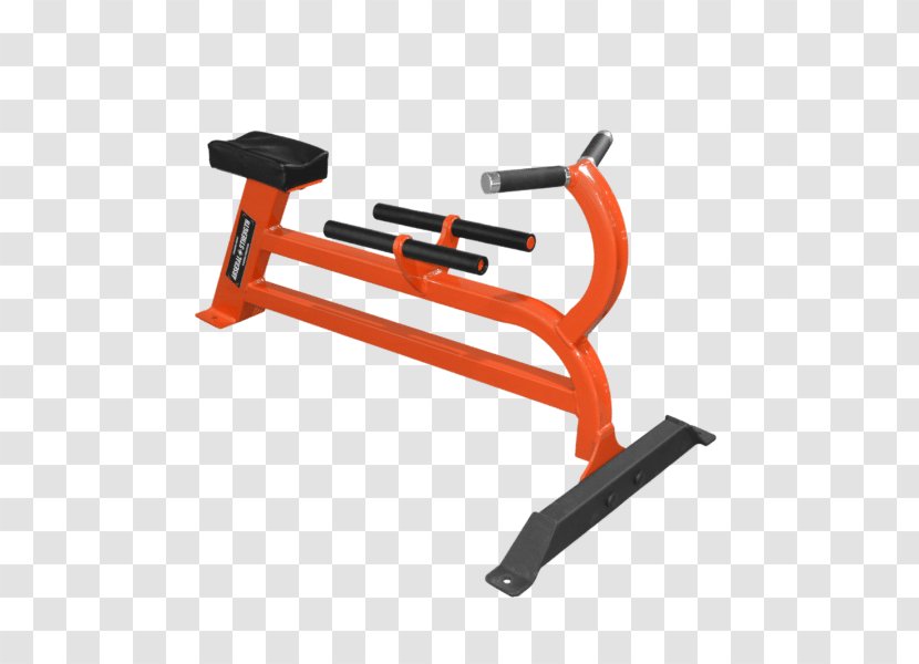 Exercise Machine Bench Bent-over Row Dumbbell Transparent PNG