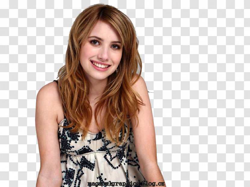 Emma Roberts Hotel For Dogs Actor Desktop Wallpaper - Frame Transparent PNG