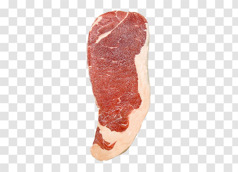 Capocollo Ham Strip Steak Prosciutto Soppressata - Watercolor Transparent PNG