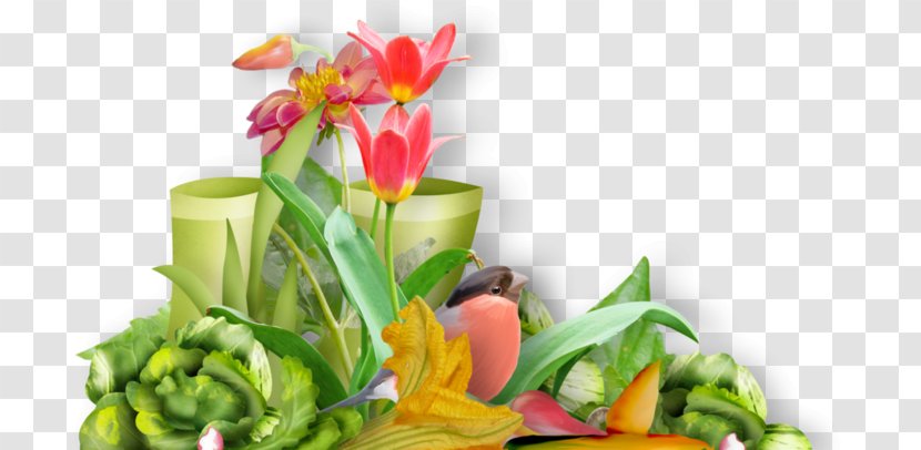 Floral Design Centerblog Flower - Anthurium Transparent PNG