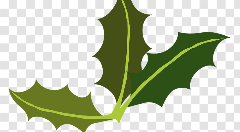 Clip Art Common Holly Yaupon Image Free Content - Green - Por Ornament Transparent PNG