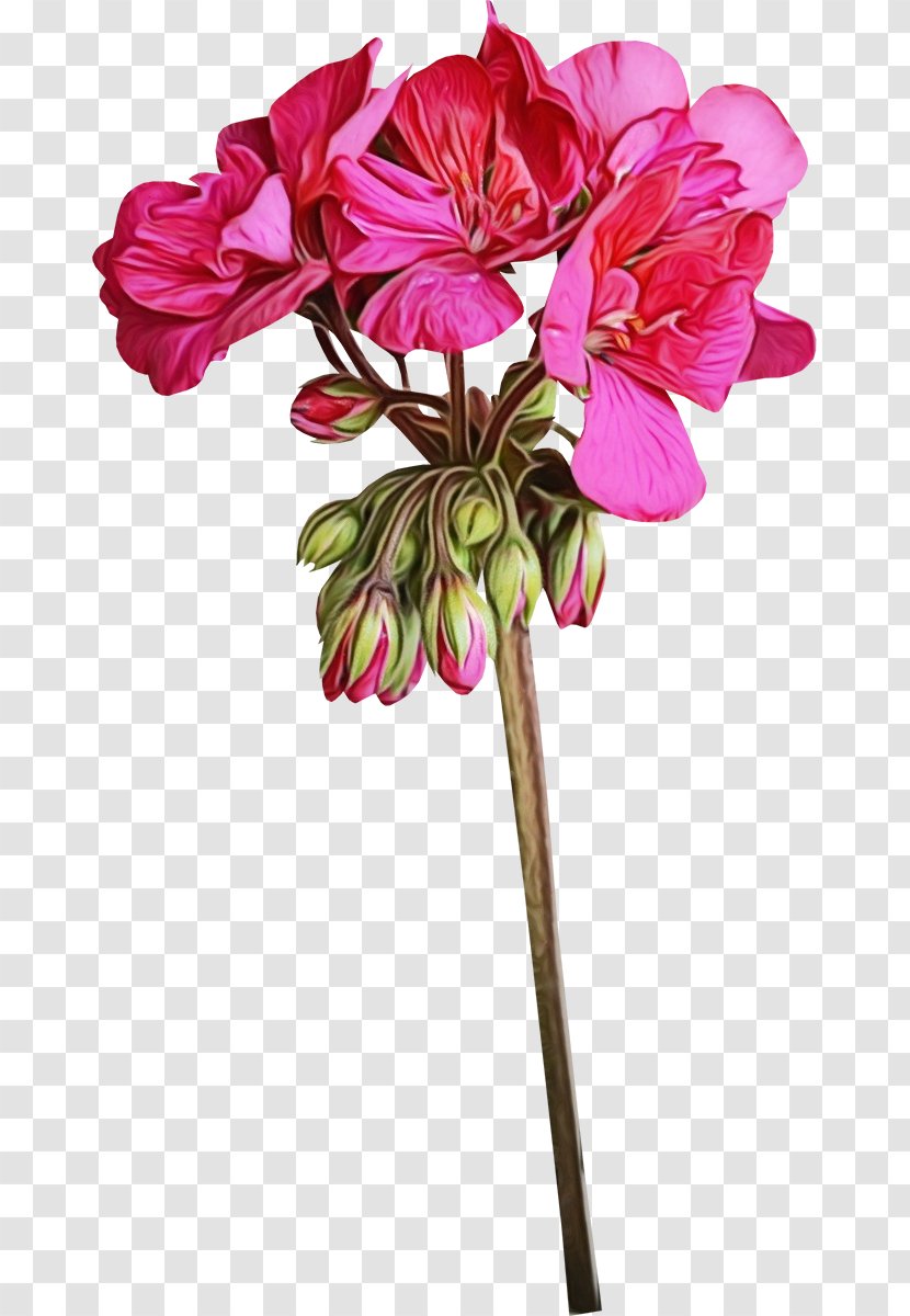 Artificial Flower - Watercolor - Magenta Transparent PNG