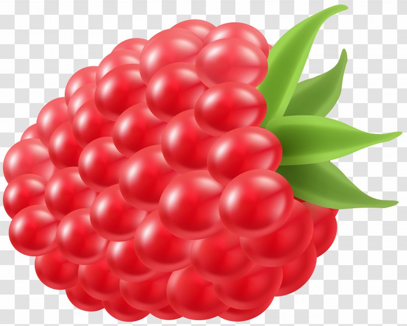 Raspberry Fruit Lime Clip Art - Strawberry Transparent PNG