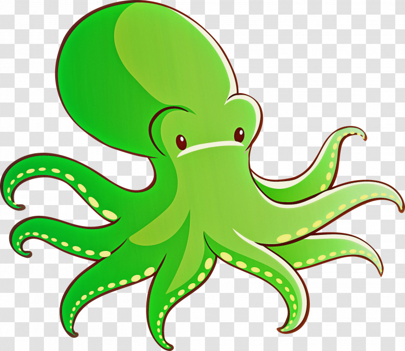 Green Octopus Giant Pacific Octopus Octopus Transparent PNG